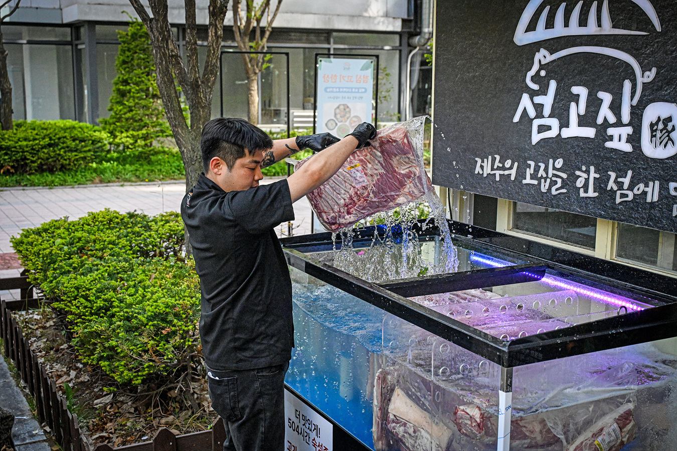 섬고짚에서 제주 돼지고기의 숙성 과정을 관리하는 모습